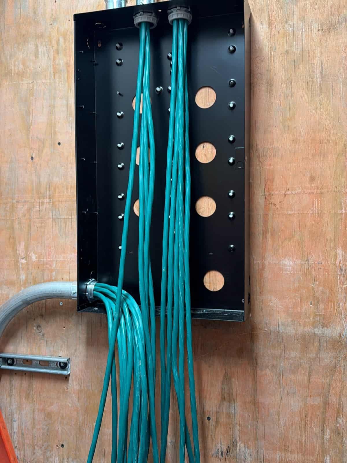 Green Cat6 cables entering a black backbox through conduit fittings on a plywood backboard
