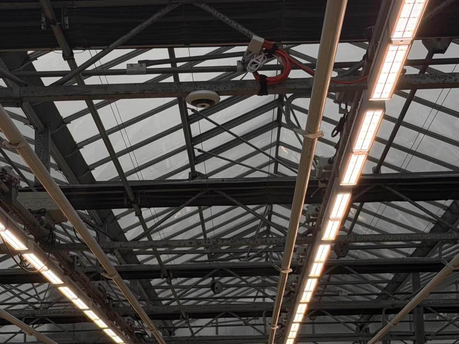 Wireless access point and cabling mounted on the truss work of a commercial greenhouse